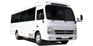 Serie Buses - County 29 DLX