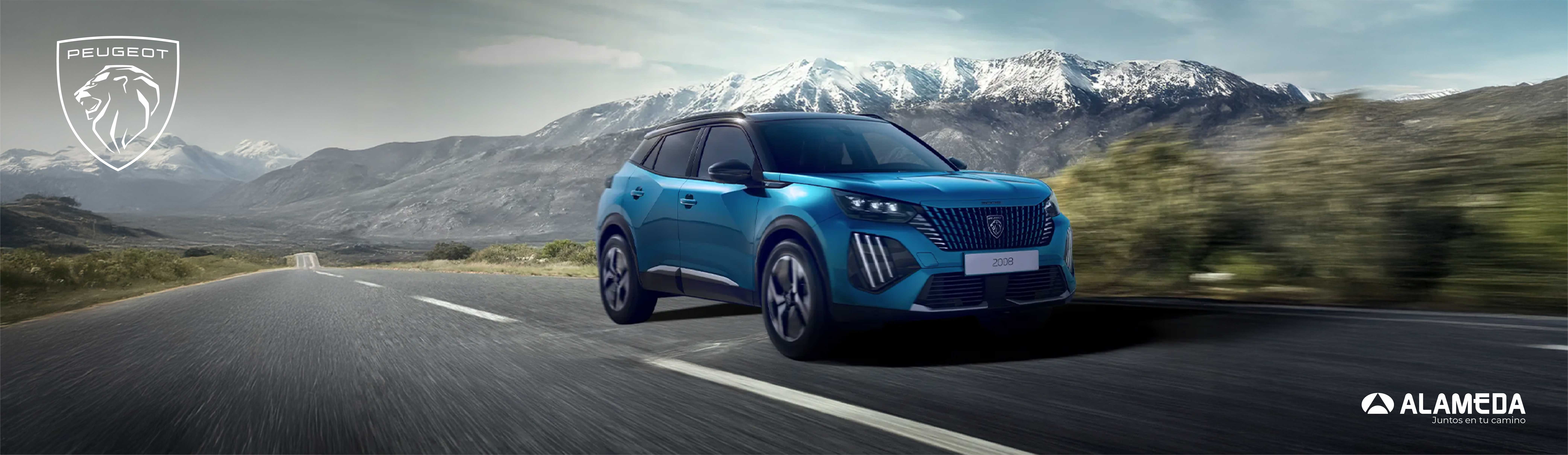 Banner Peugeot